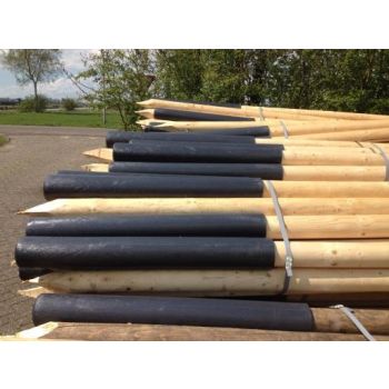 Combipaal - 12/10 x 300 cm, zwart met punt